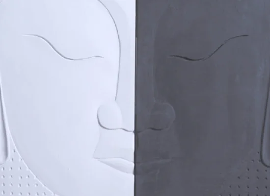 facades stone سنگ تزئینی چهره